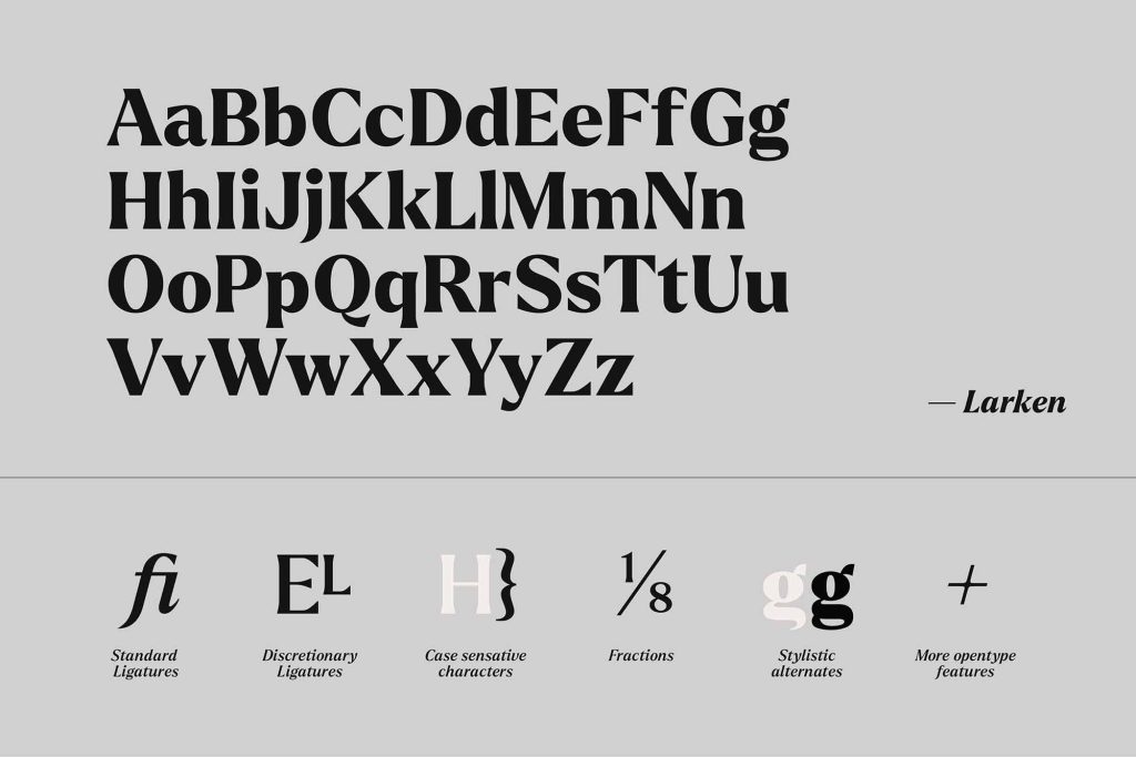 Larken Serif Font 11