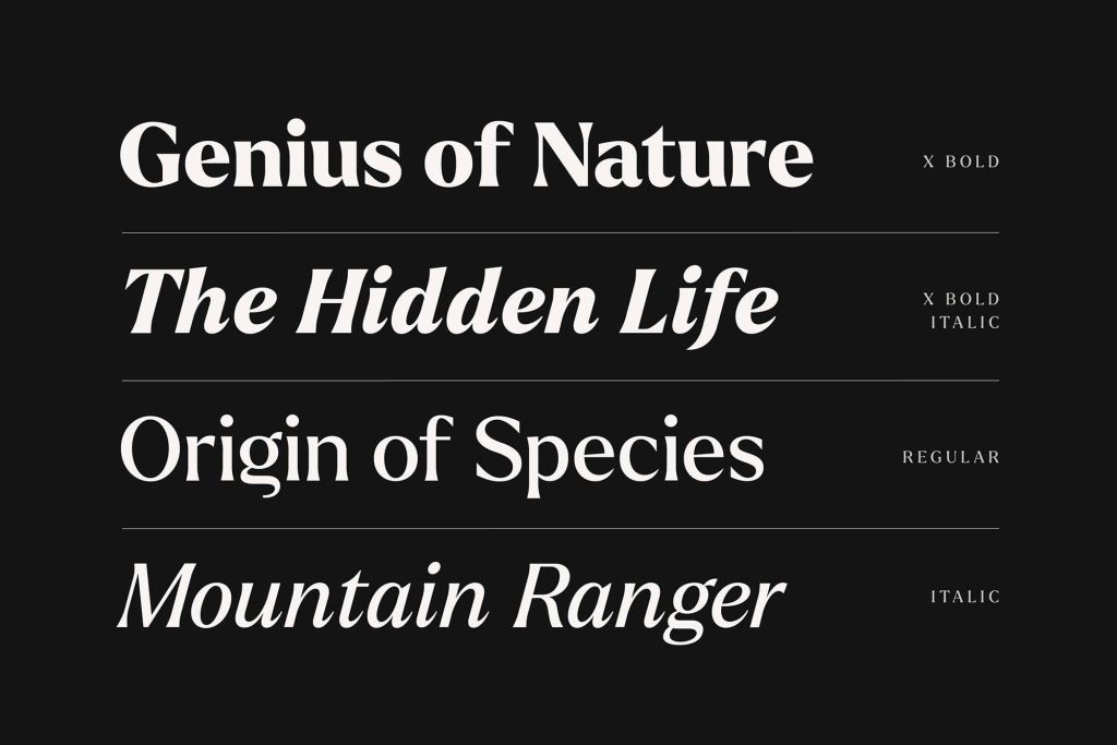 Larken Serif Font 5
