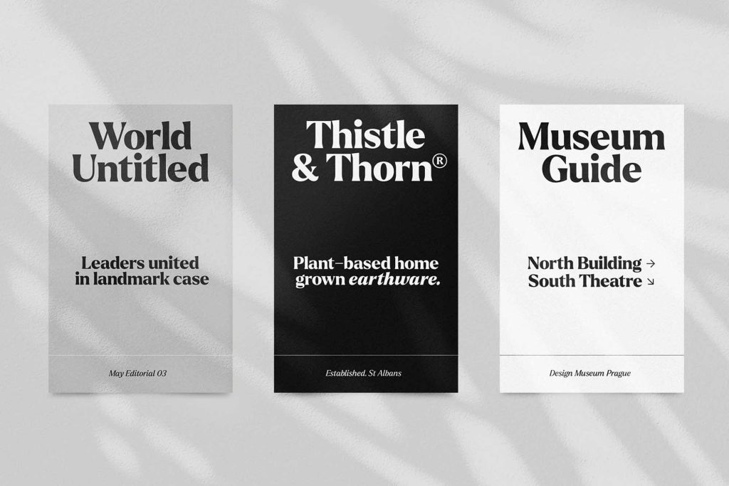 Larken Serif Font 7