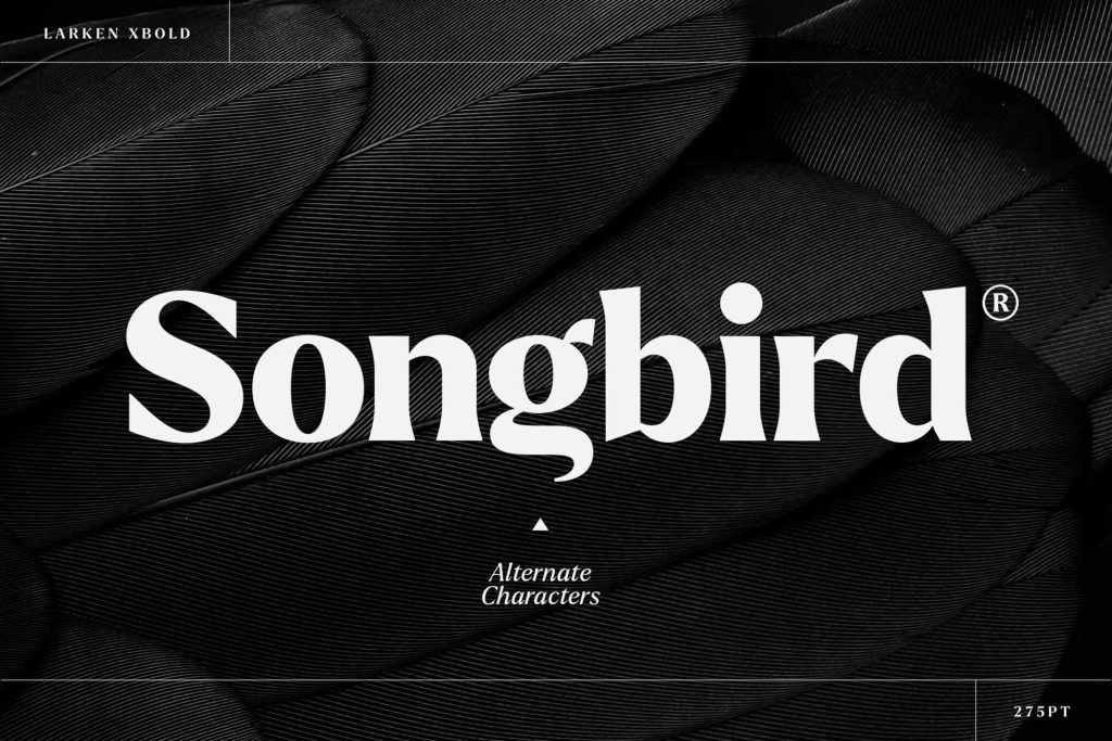 Larken Serif Font 9