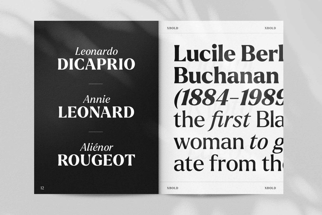 Larken Serif Font Image